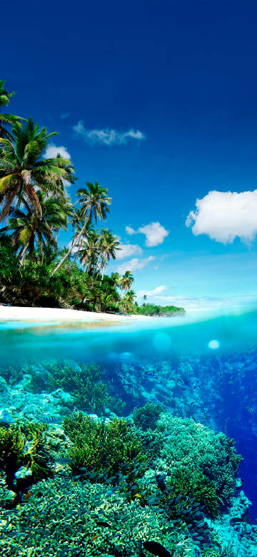 Stunning blue sea and coral reefs