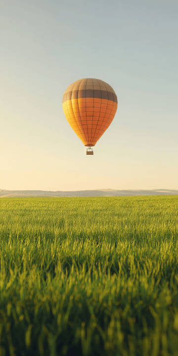 Hot air balloon above the green field