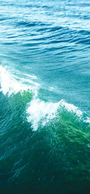 Turquoise water under the sun
