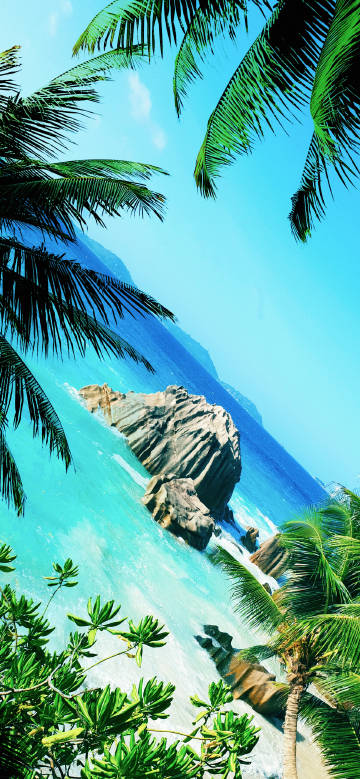 Azure sea and palm trees