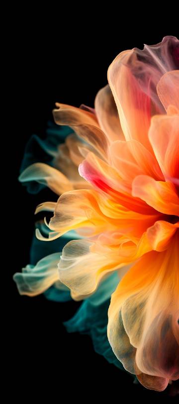 Brilliant flower set against black background