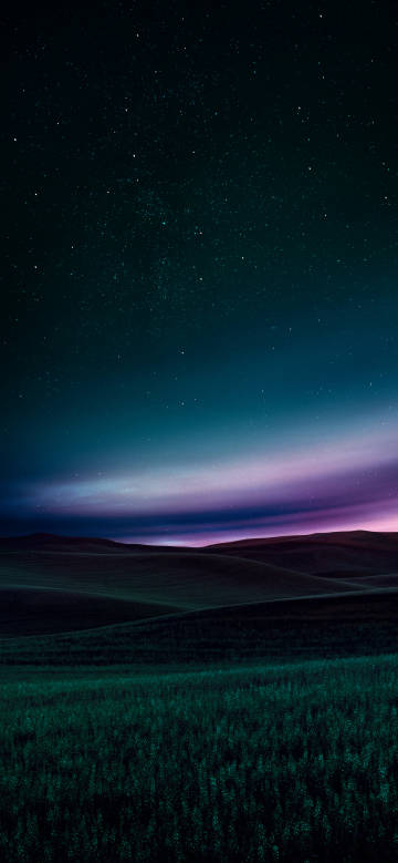 Grassland under dreamy night sky