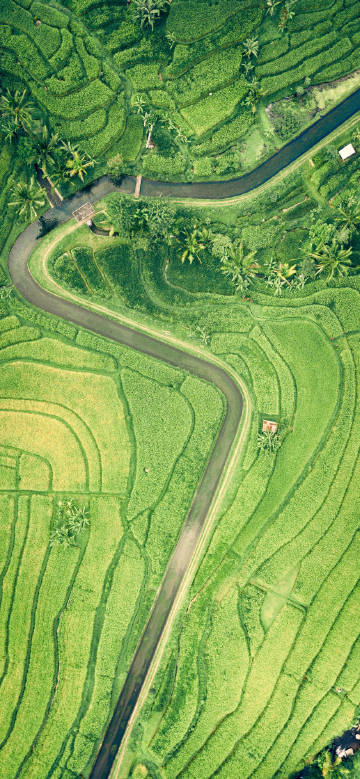 Aerial view of green terraced fields