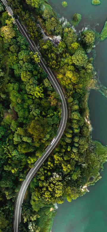 Aerial view of road through the woods