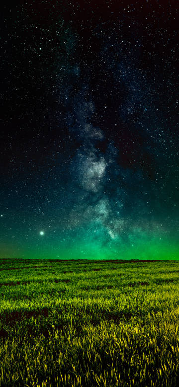 Green grassland under the dreamy starry sky