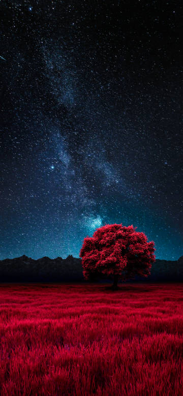 Red tree and grassland under starry sky