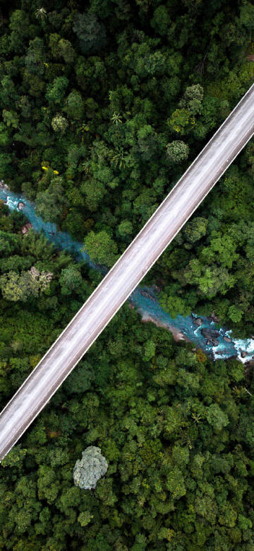 Aerial view of road in the forest