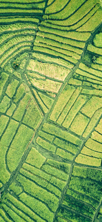 Overlooking the green fields from above