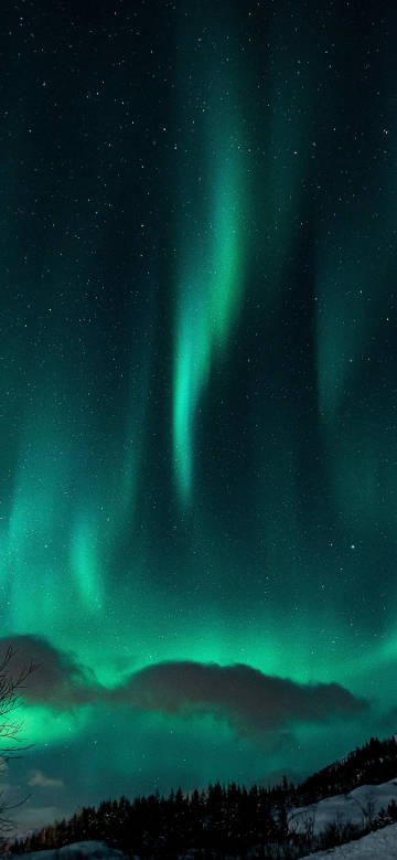 Aurora shining under the starry sky