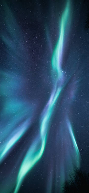 Aurora dancing in the night sky