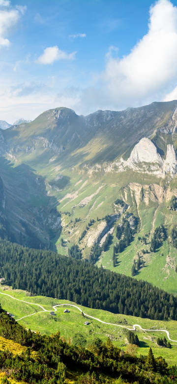 Green mountains and forest scenery