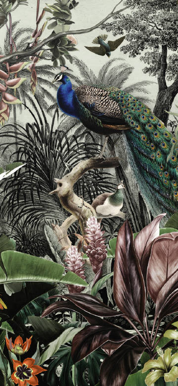 Peacock, birds and plants around