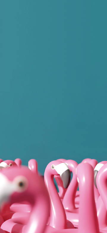 Pink flamingos against blue background