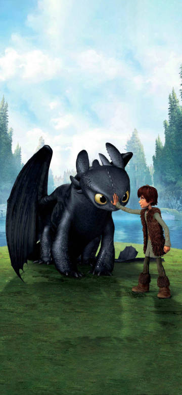 How to Train Your Dragon:boy lightly touches black dragon