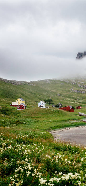 Rural cottages surrounded by nature