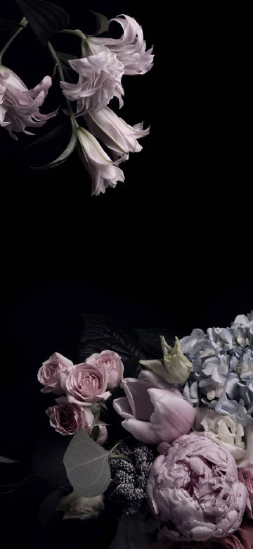 Delicate flowers set against black background