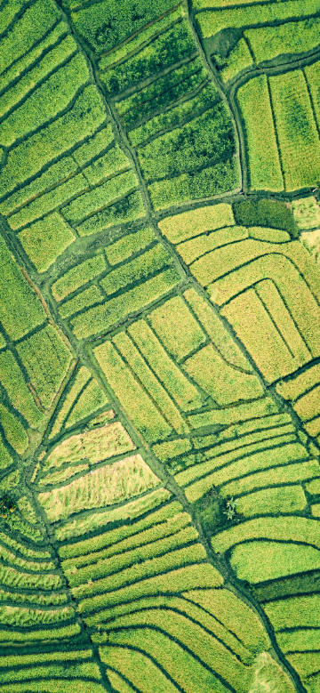 Beautiful rural scenery
