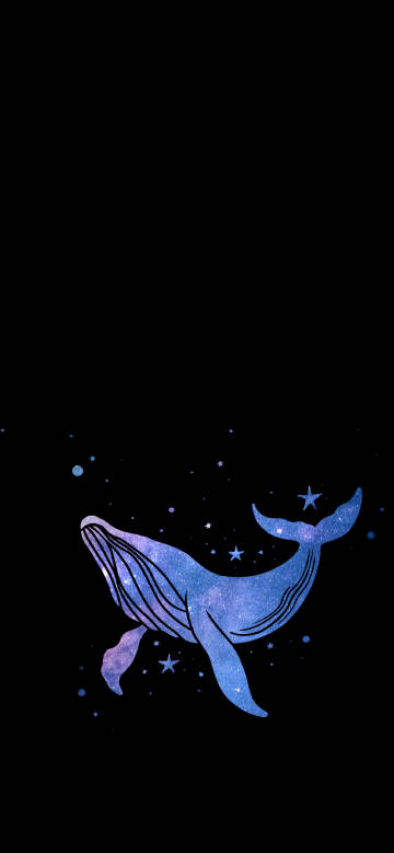 Dreamy starry whale on black background