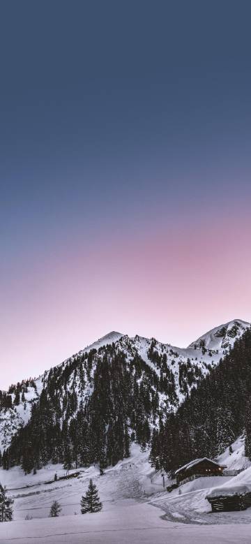 Snowy mountains and forest under pink-blue sky