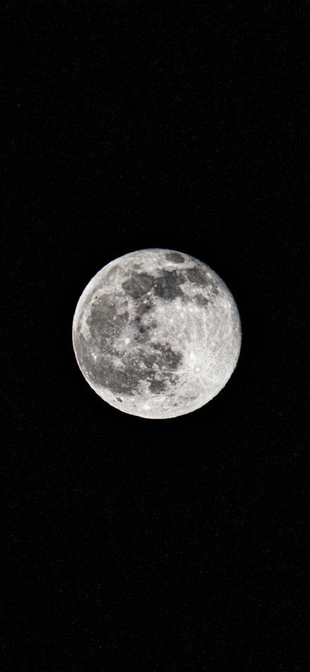 Moon hanging high in the night sky