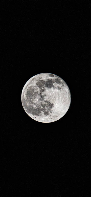 Moon hanging high in the night sky