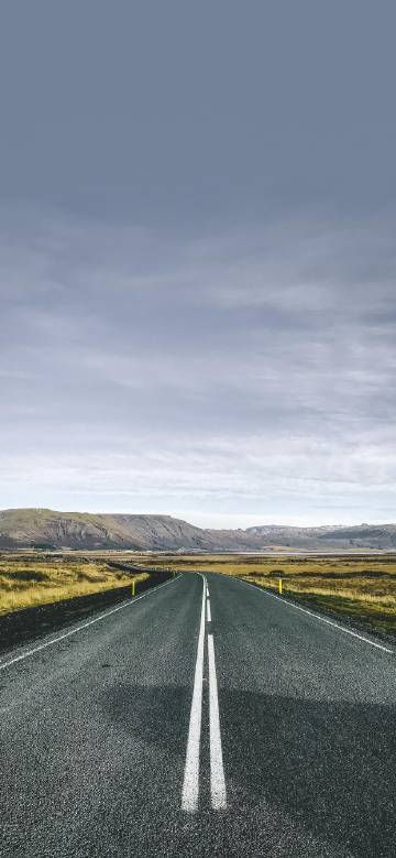 Road in the open scenery