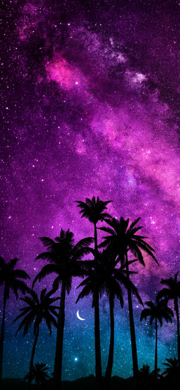 Palm trees under the purple starry sky