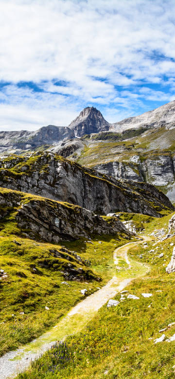 Mountain trail among grass and rocks
