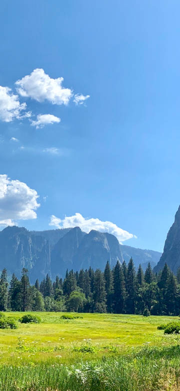 Beautiful scenery of prairie and forest under the blue sky