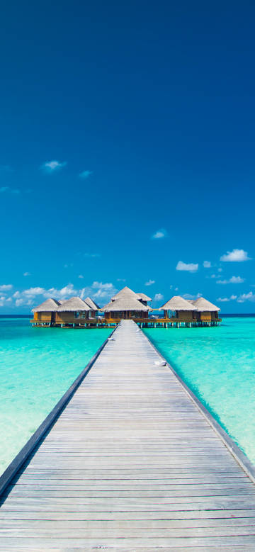 Wooden walkway and thatched cottages over the sea under blue sky