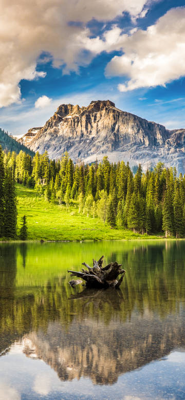 Scenic lake and mountains with a dead tree