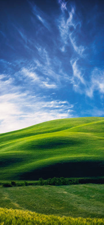 Beautiful view of green grassland under the blue sky