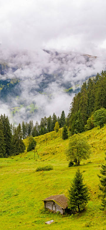 Beautiful mountain grassland under the mist