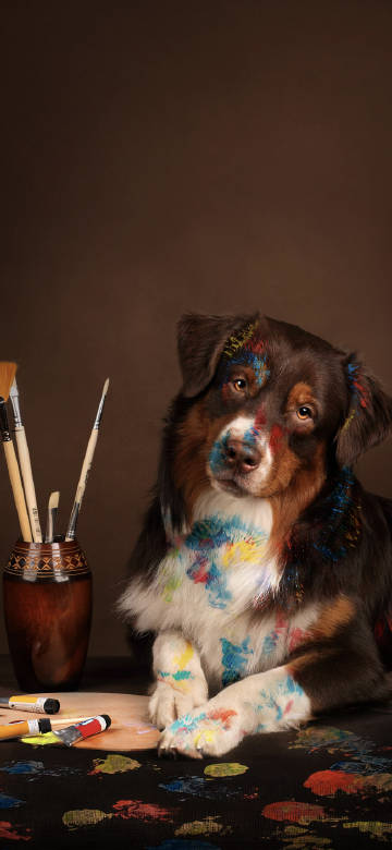 Dog with paint and painting tools