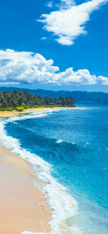 Beach scenery under blue sky and white clouds