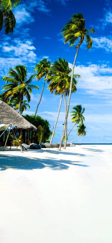 Beach hut under coconut trees