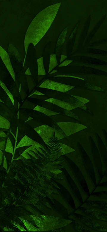 Fern green leaves on dark green background
