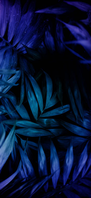 Dark blue-tone leaf landscape