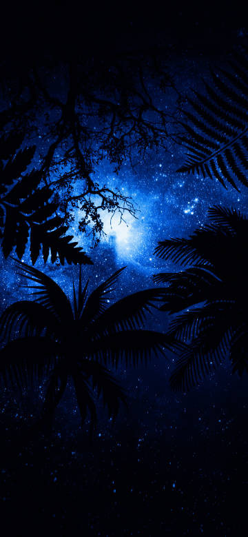 Mysterious night forest scene phone wallpaper