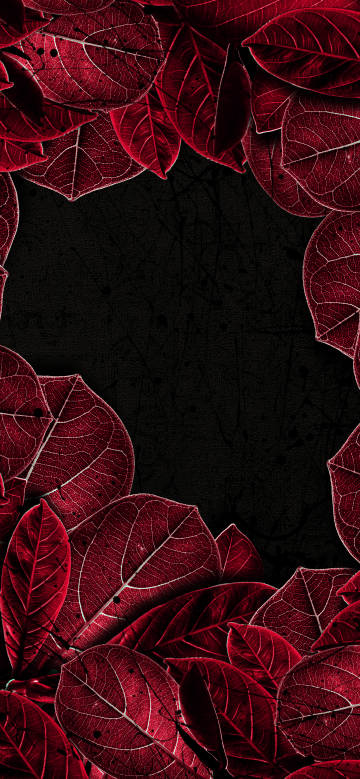 Red leaf frame on a black background