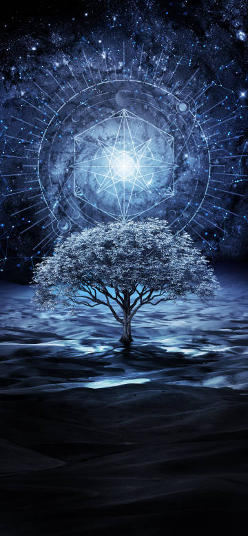 Mysterious desert tree under the starry sky