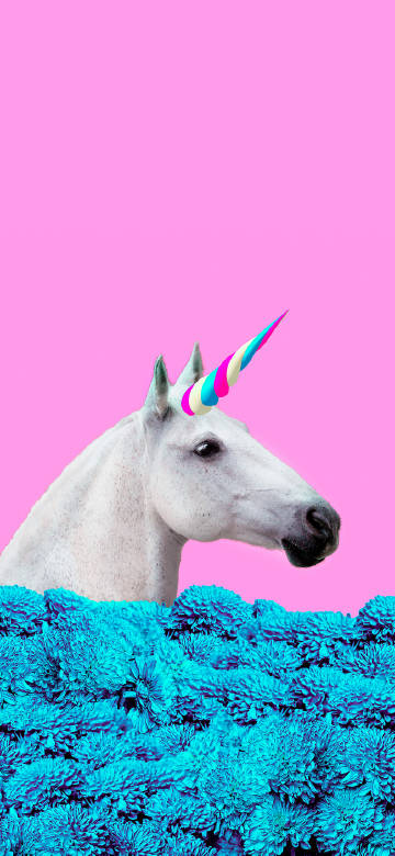 White unicorn horse against a pink background