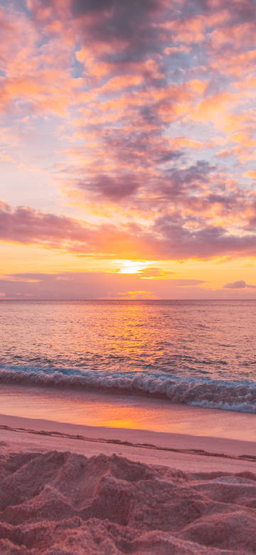 Golden coast under the setting sun