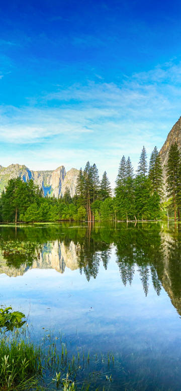 Reflections of sky and forest in the lake phone wallpaper