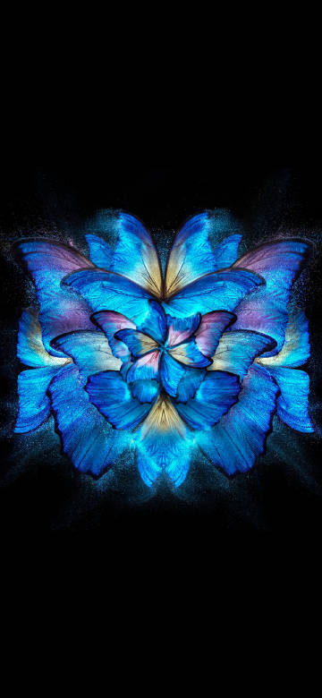 Blue butterfly wings on black background