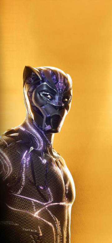 Marvel's The Avengers:Handsome look of black panther