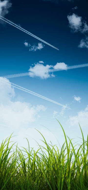 Green grass under a clear blue sky phone wallpaper