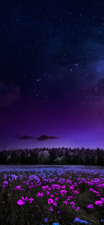 Purple flower field under starry sky phone wallpaper