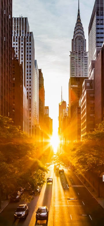 City beauty at sunset phone wallpaper