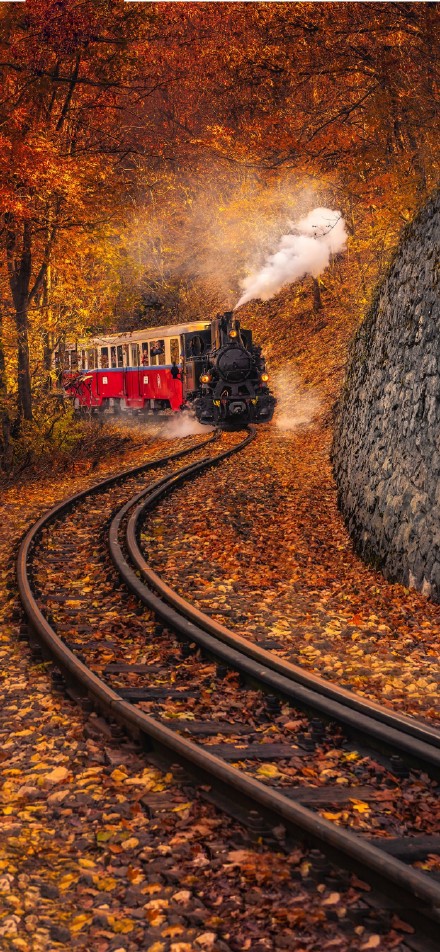 Steam train in the autumn forest